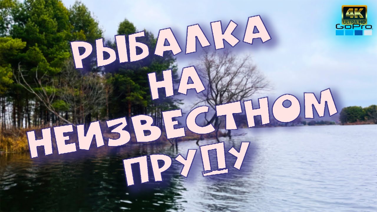 Щука на жабу❗ Рыбалка с лодки❗ Спиннинг осенью❗