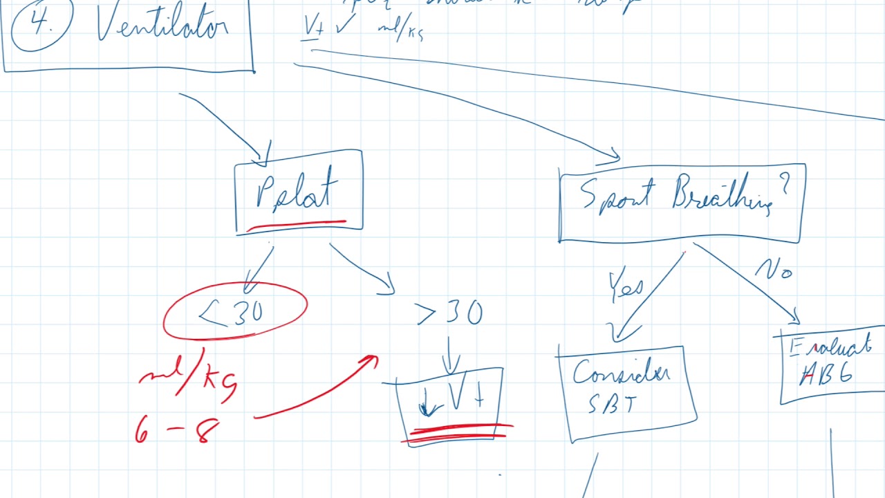 Building A Ventilator Management Algorithm
