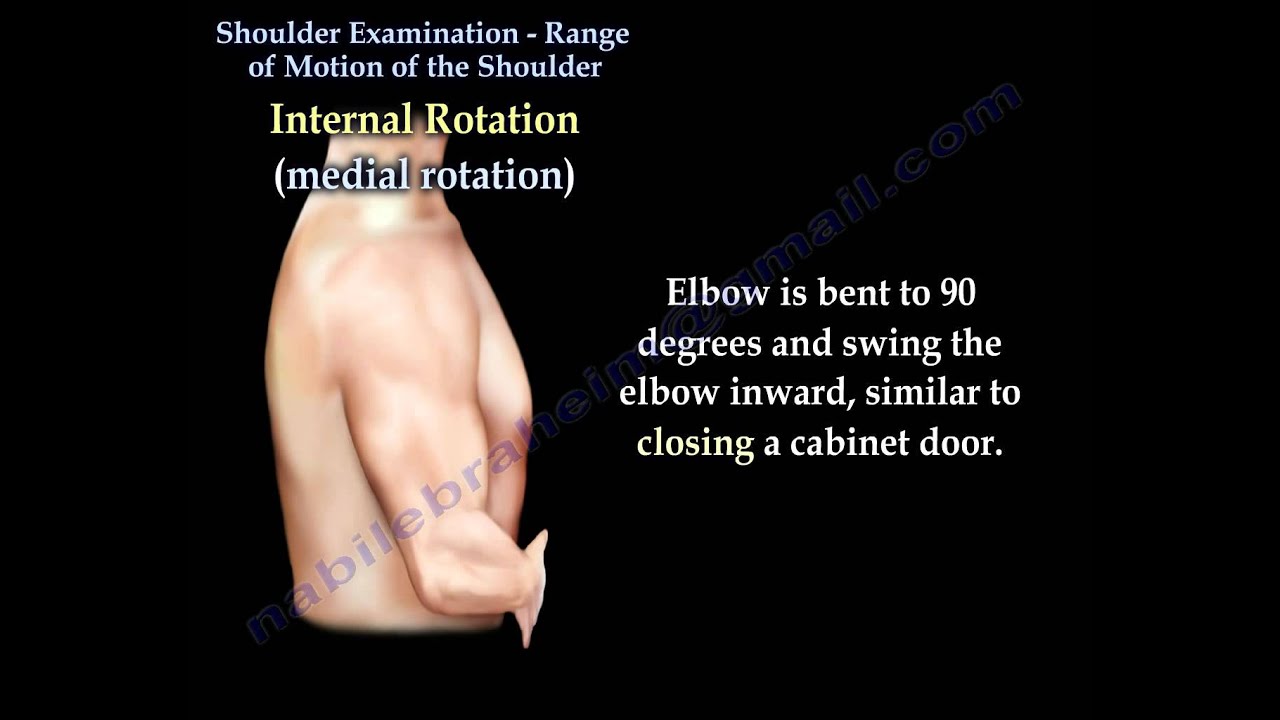 Shoulder Examination Range Of Motion Shoulder - Everything You Need To Know - Dr. Nabil Ebraheim