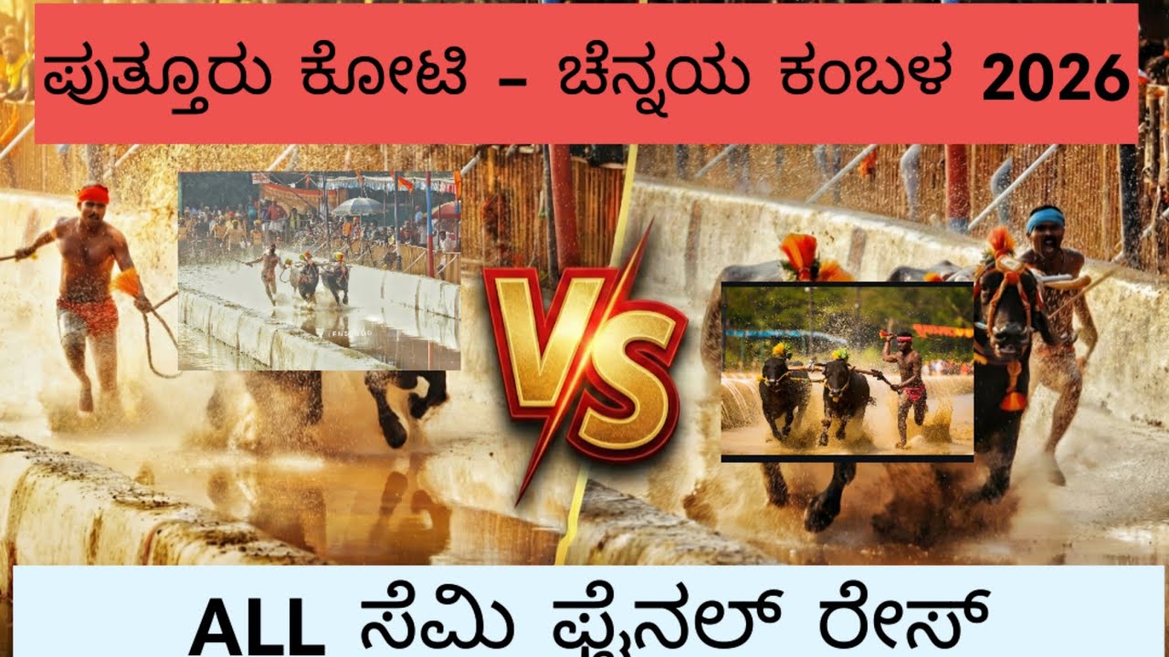 ಪುತ್ತೂರು ಕೋಟಿ ಚೆನ್ನಯ ಜೋಡುಕರೆ ಕಂಬಳ ಸೆಮಿ ಫೈನಲ್ ಸಾಲ್