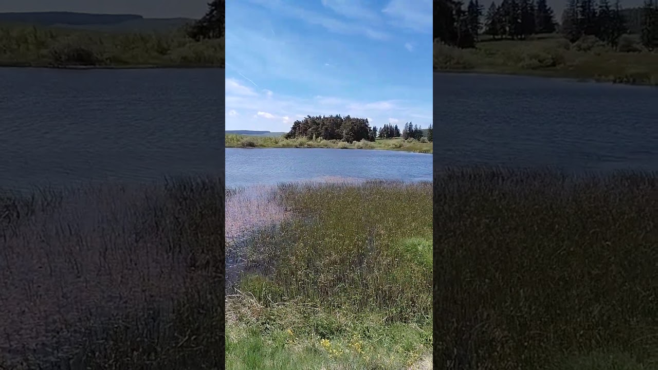 Puy-de-D&ocirc;me - Lac de Bourdouze