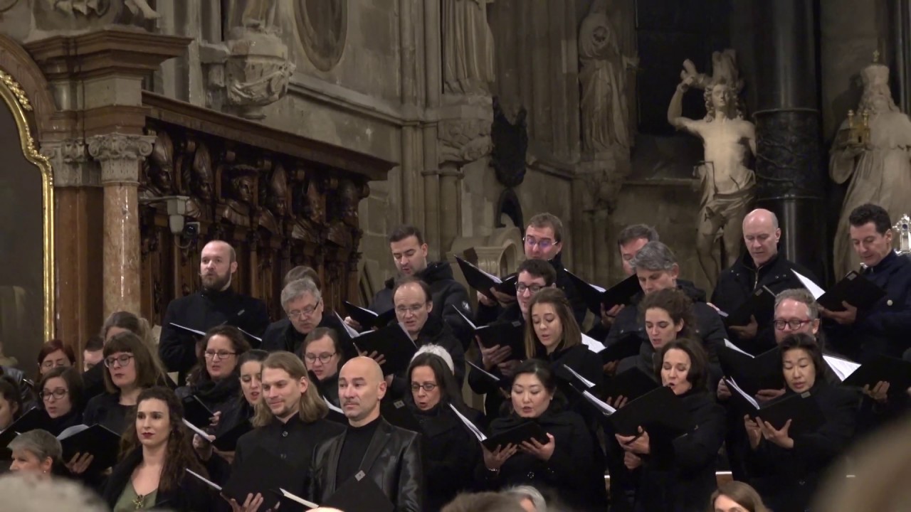 St  Stephen's Cathedral   Concert