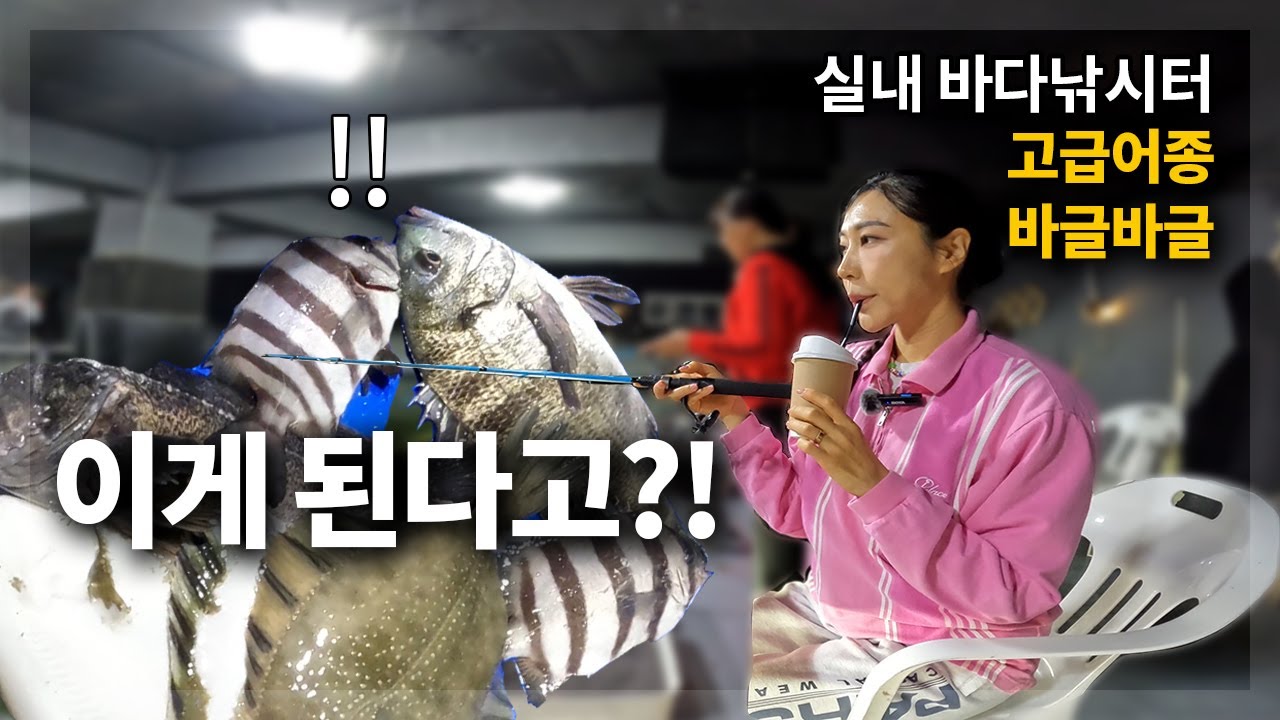 [4K] 절대 꽝칠수 없는! 특별한 이벤트가 있는 바다낚시터! 고급횟감이 가득! 놀면서 편하게 낚시하세요 ~ | #실내바다낚시터 #낚시 #바다낚시터 #낚시터