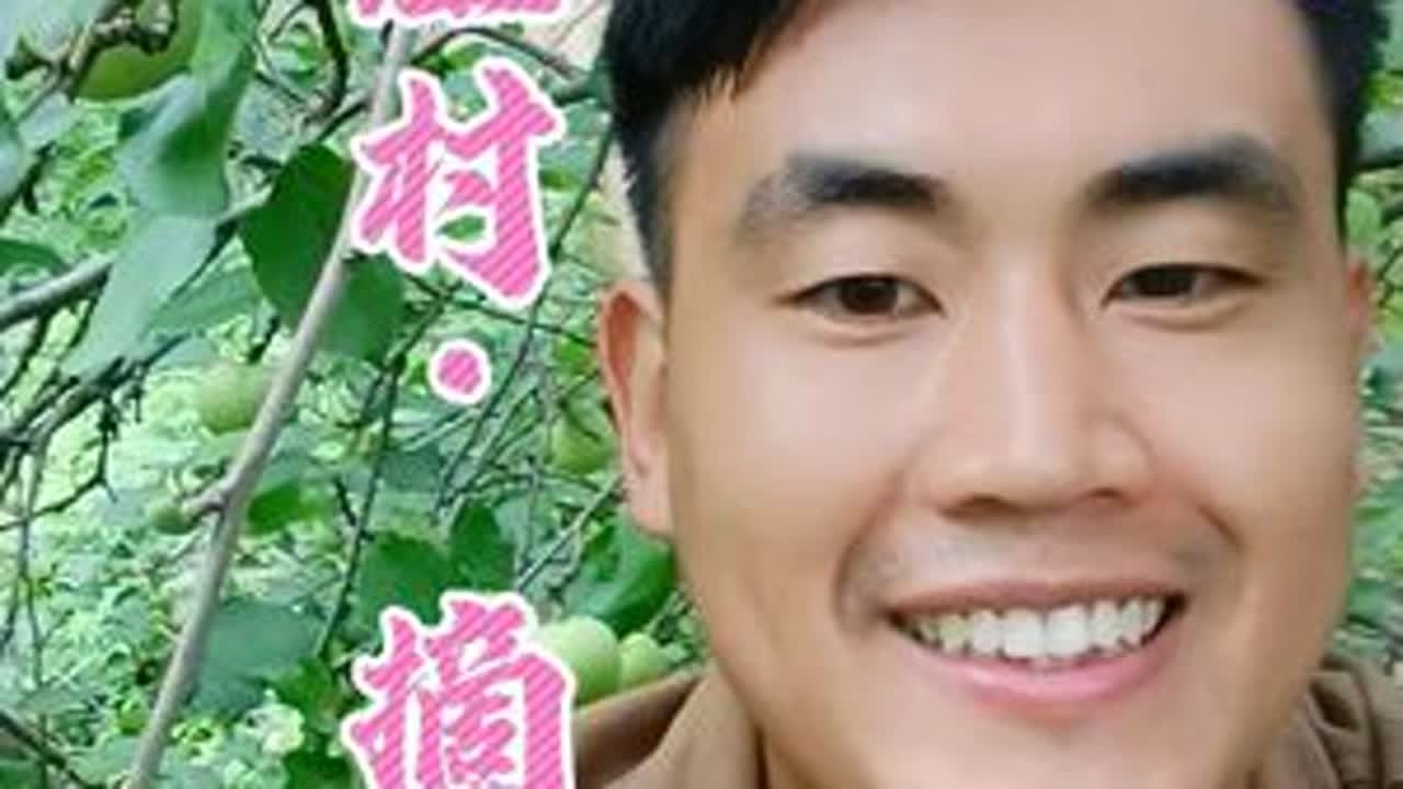 穷游中国的第240天：悬崖村小伙带我去摘他堂哥家苹果#我的乡村生活 #山里生活 #悬崖村 #传骞 #我的乡野山居生活