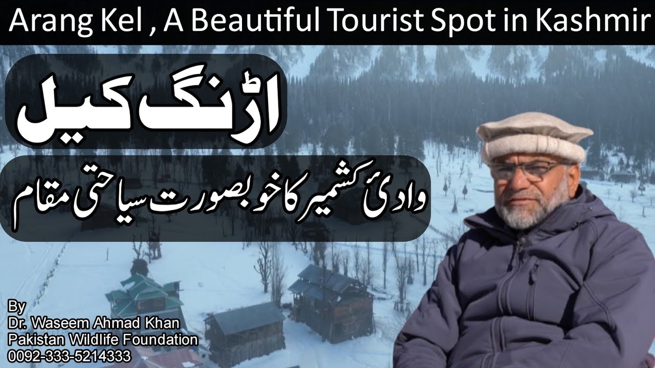 A beautiful tourist spot in Kashmir | Beautiful Places Of Pakistan | Explore Pakistan | Arang Kel 