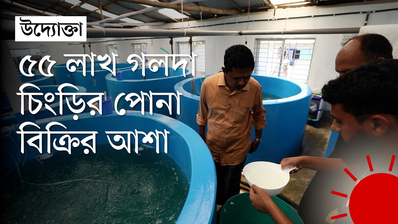 চট্টগ্রামে ব্যক্তি পর্যায়ে একমাত্র গলদা চিংড়ি পোনা উৎপাদন করেন যিনি | Shrimp Farming
