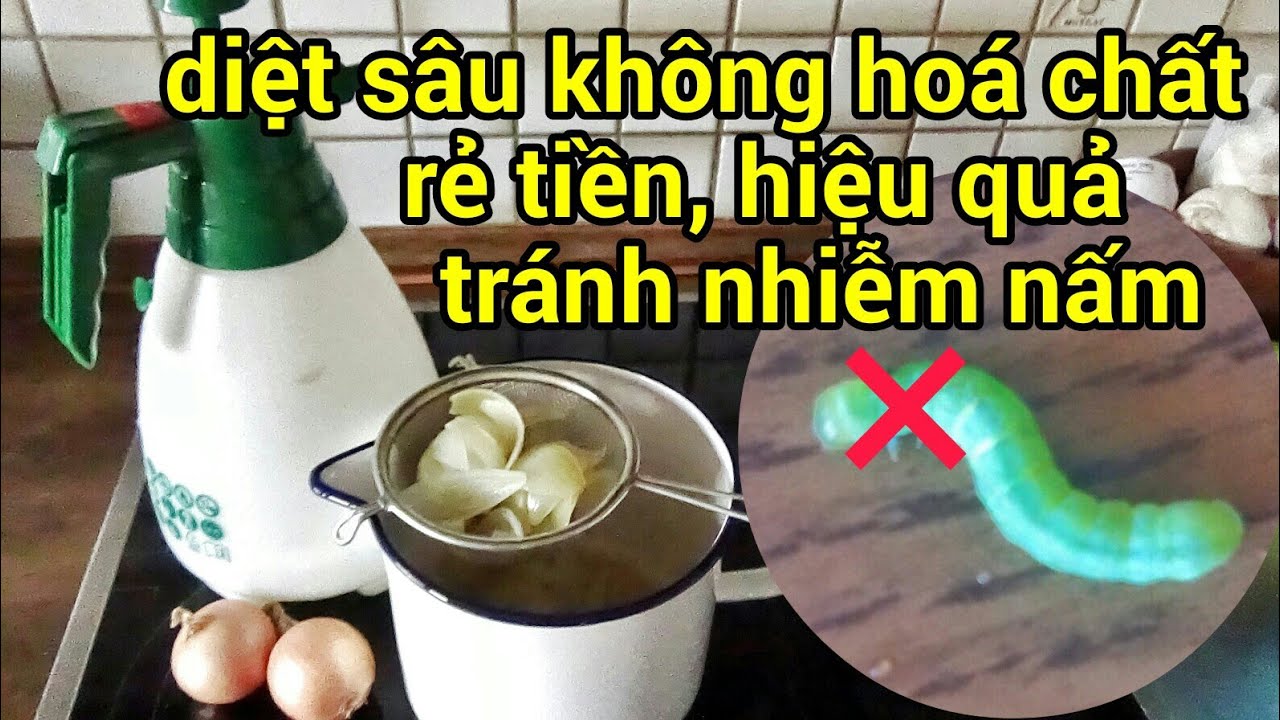 Cách diệt sâu hiệu quả không hoá chất độc hại mà rẻ tiền nhất và dễ mua