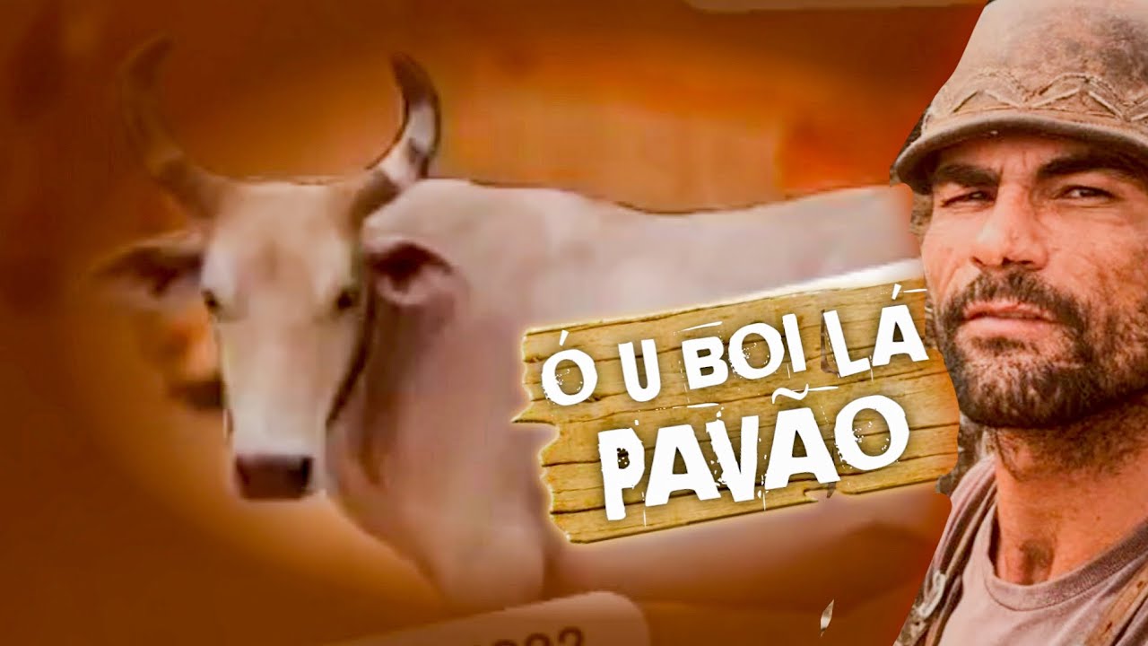 Boi Preá vs  Pavão Vaqueiro e companheiros no Piauí