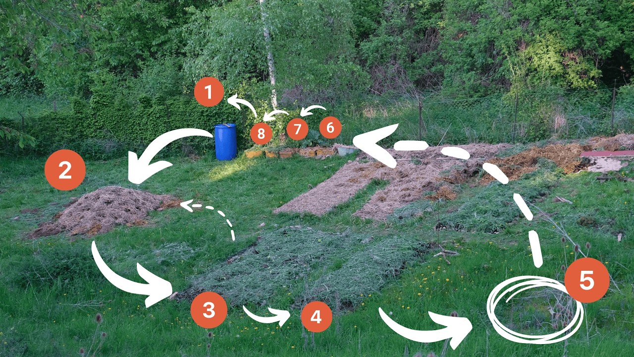 5 Kreisläufe, die du JETZT in deinen Garten integrieren kannst ♻️
