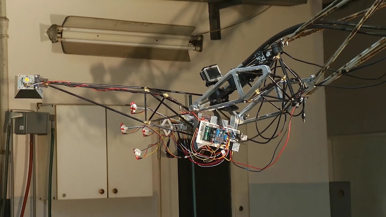 Przełomowy moment Odcinek 11: Senster Rzeźba cybernetyczna