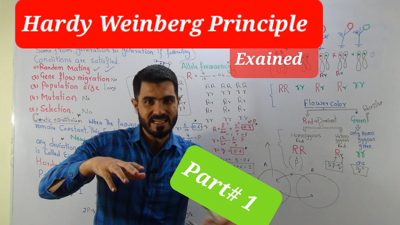 L-9 Hardy Weinberg principle Part 1 //Allele Frequency // Hardy Weinberg equation