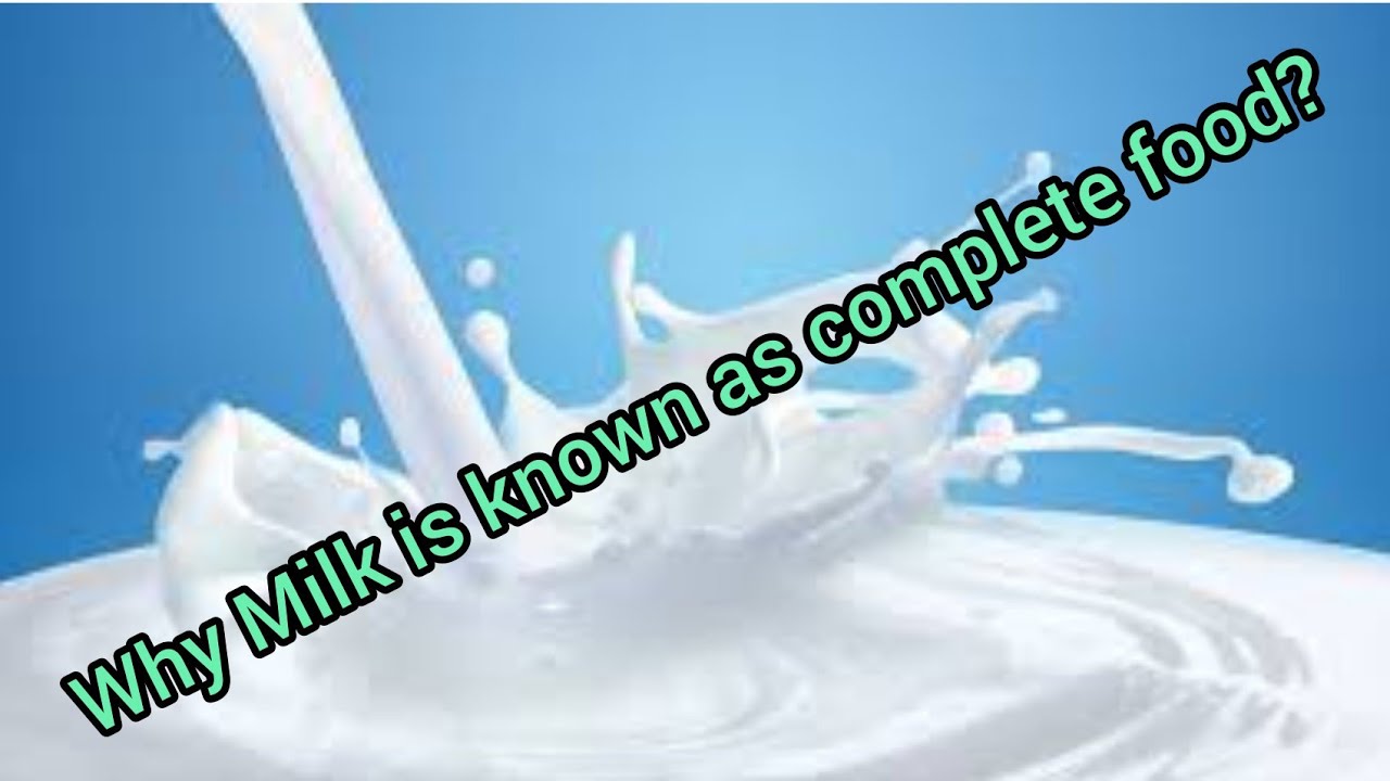 Why Milk is called complete food   OR  .Why milk is known as complete food