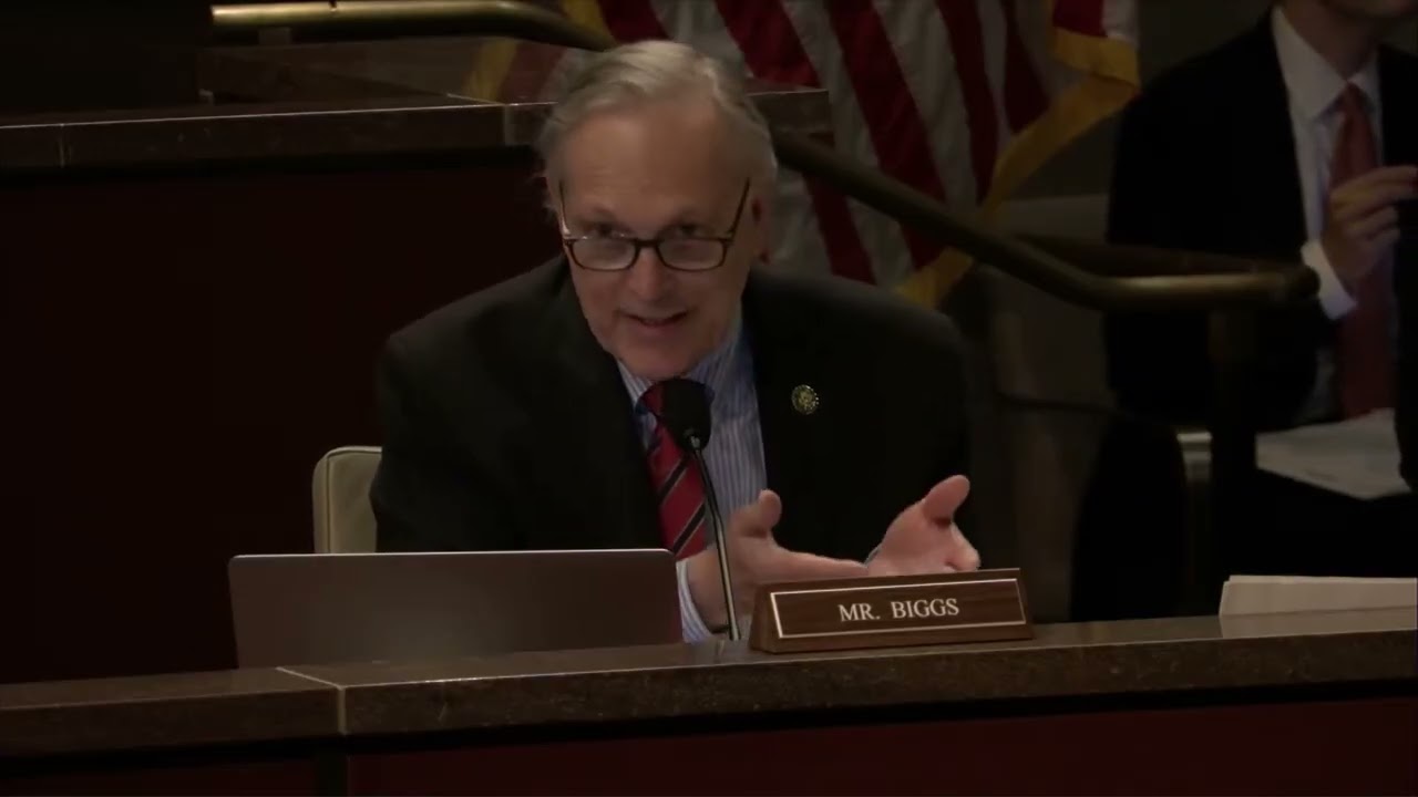 Rep. Biggs DESTROYS Woke Anti-2A D.C. Official