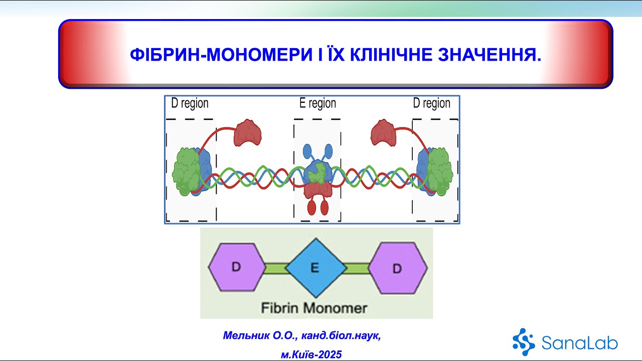 Фібрин мономери та їх клінічне значення