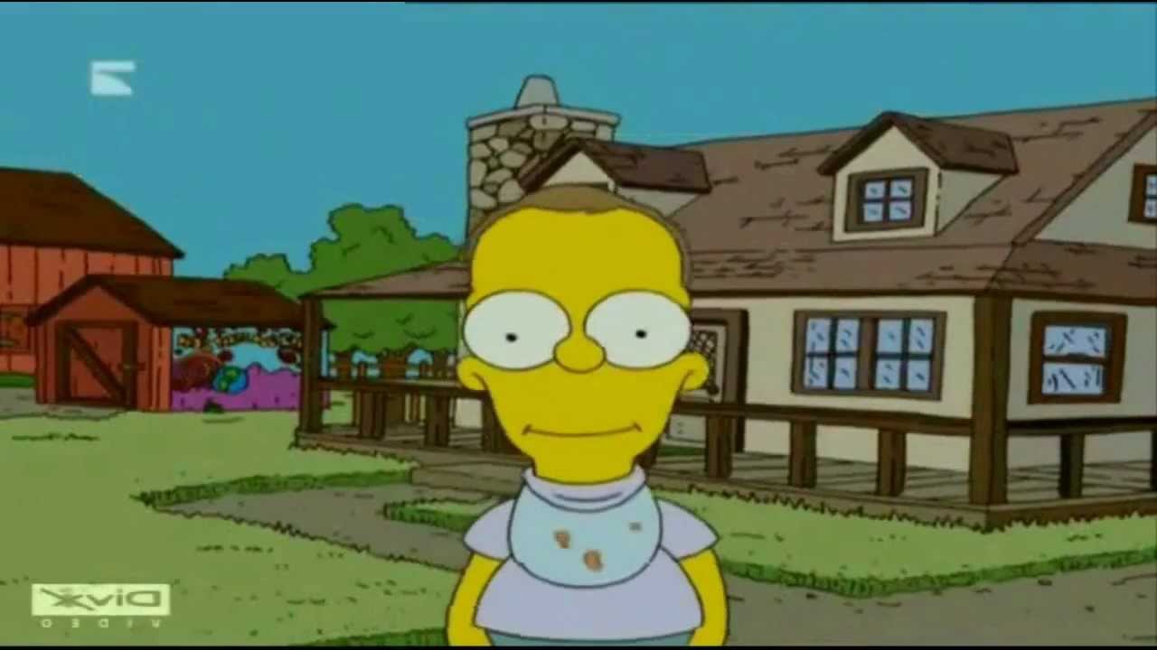 Homer Simpson&acute;s life