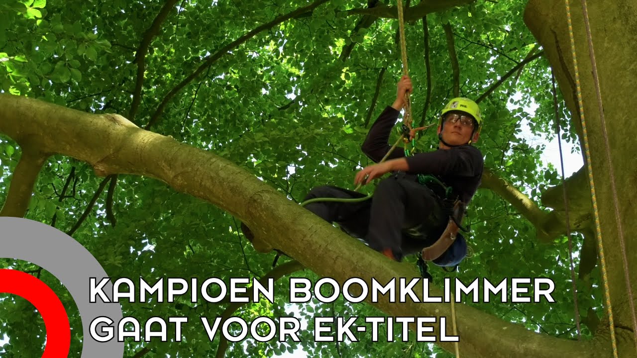 Nederlands kampioen boomklimmen uit Waalre: 'Veel komt aan op ervaring'