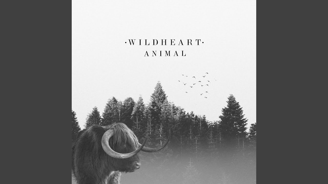Animal