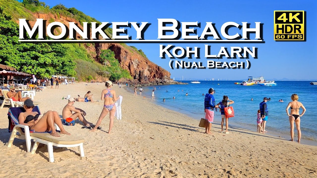 Monkey Beach Nual Beach Koh Larn Beach Walk 4K 60fps HDR  Dolby Atmos 💖 Walking Tour 👀 Thailand 🇹🇭