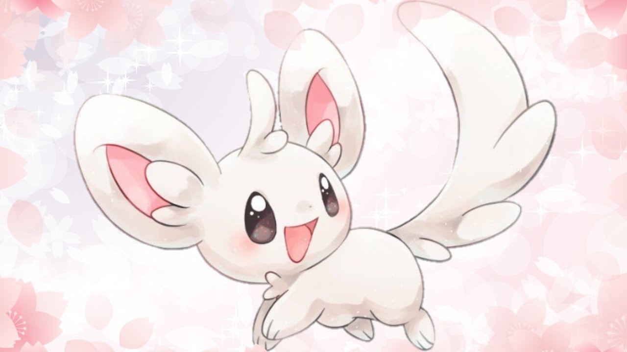 Minccino AMV - Havana