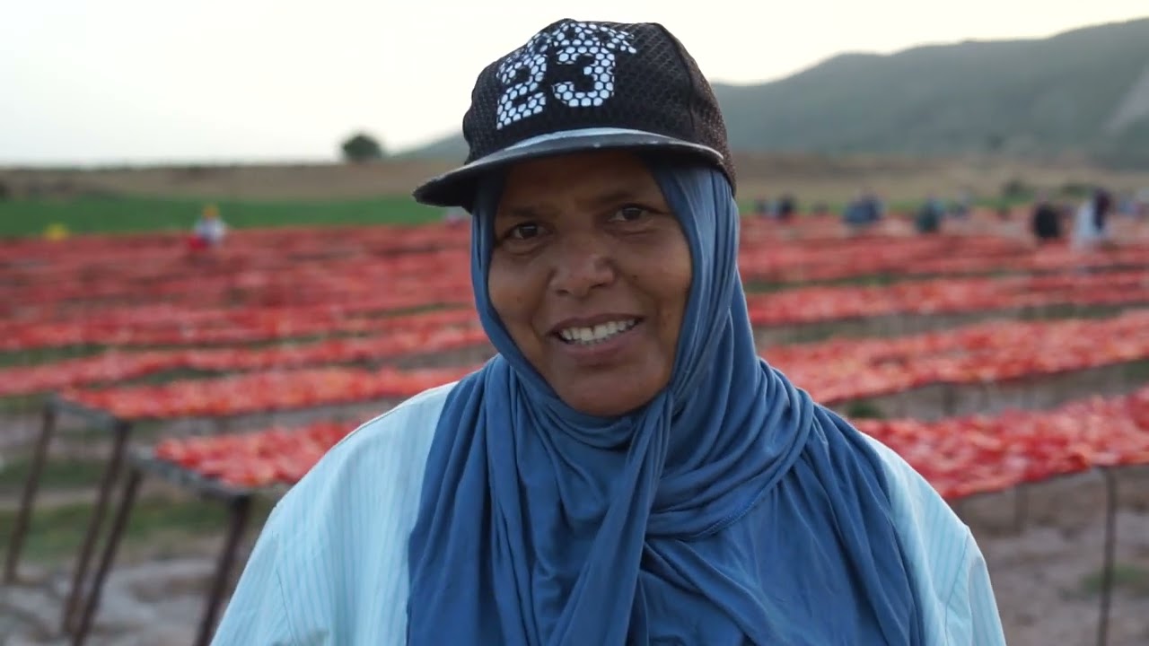 Tunisie : Production des tomates séchées à Laaroussia : export, emploi et développement