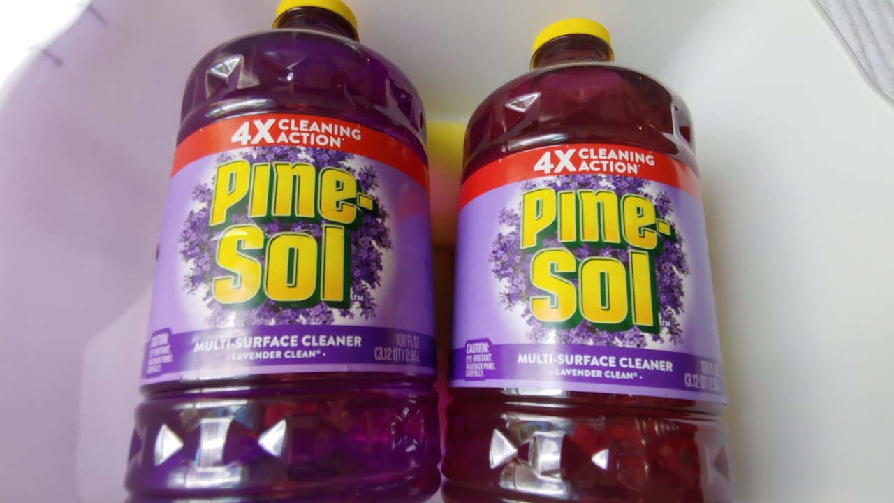 Gallons Lavender Pine-Sol Sponge Squeezing ASMR