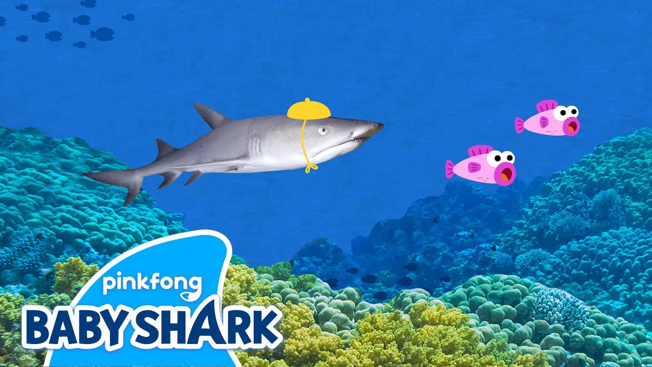 Run! Real Baby Shark! | Baby Shark Song | Sing with Baby Shark | Sing and Dance with Baby Shark