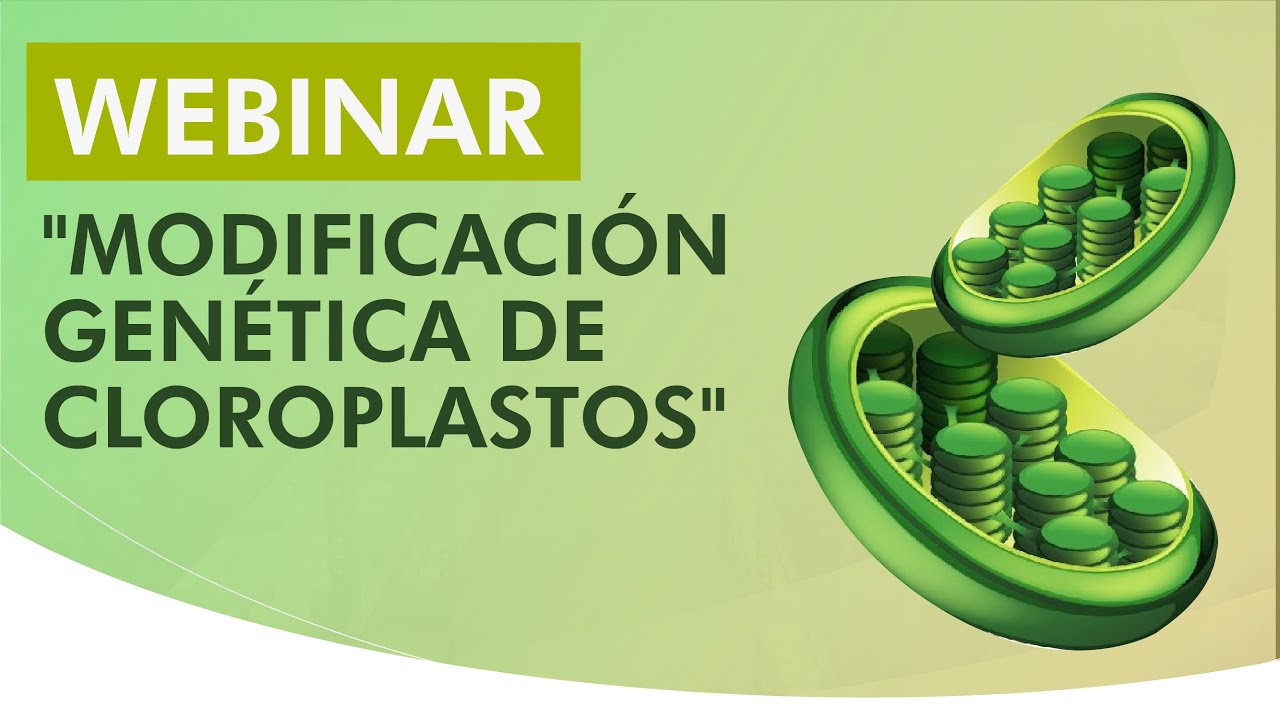 WEBINAR: 