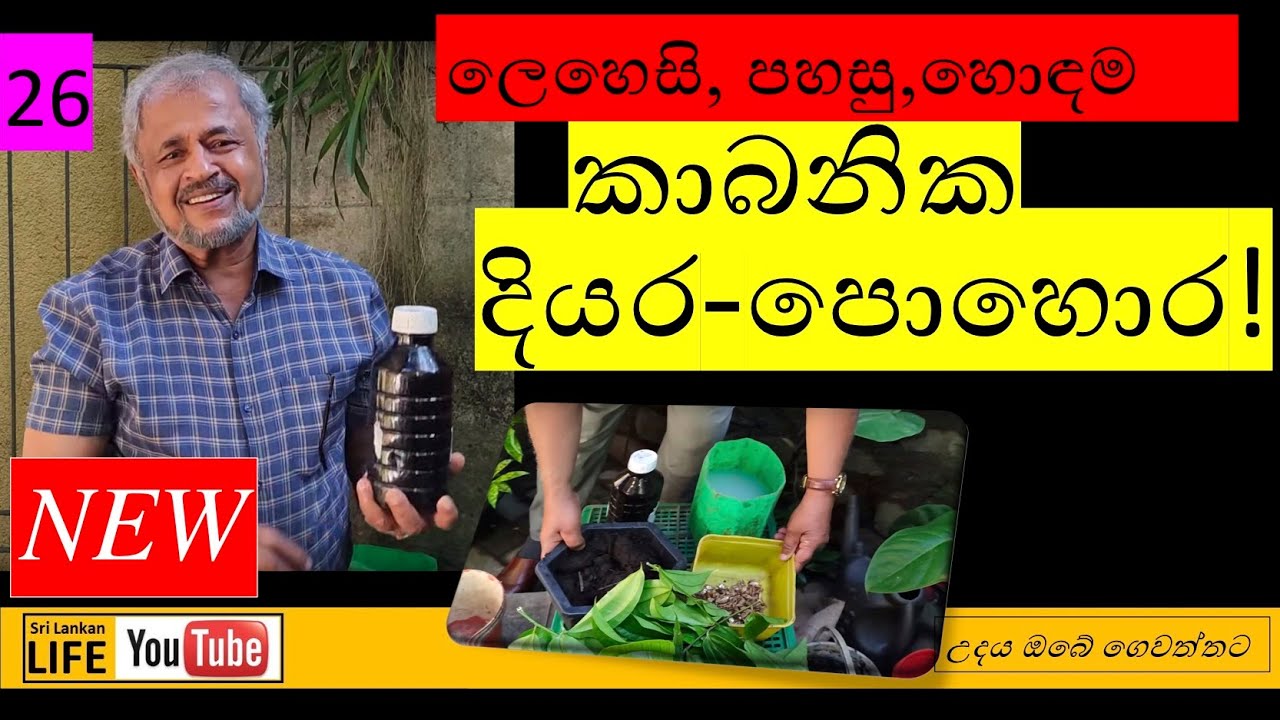 Episode 26. මම ගෙවත්තේ භාවිතාකරන කාබනික දියර පොහොර -උදය- |My organic liquid fertilizer recipe -Udaya