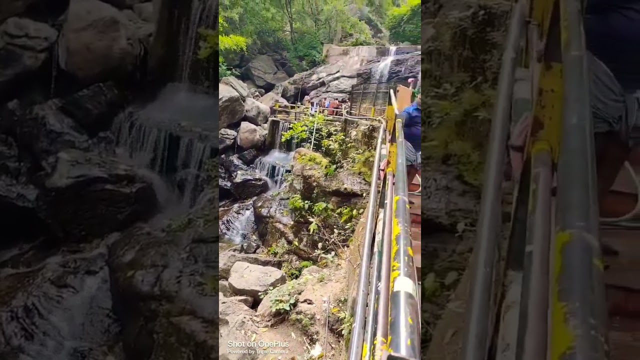 Suruli falls ....