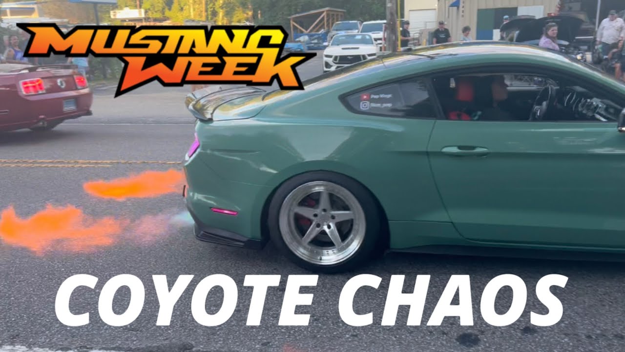 CHAOS AT THE COYOTE BASH⚠️ Mustang Week 2025