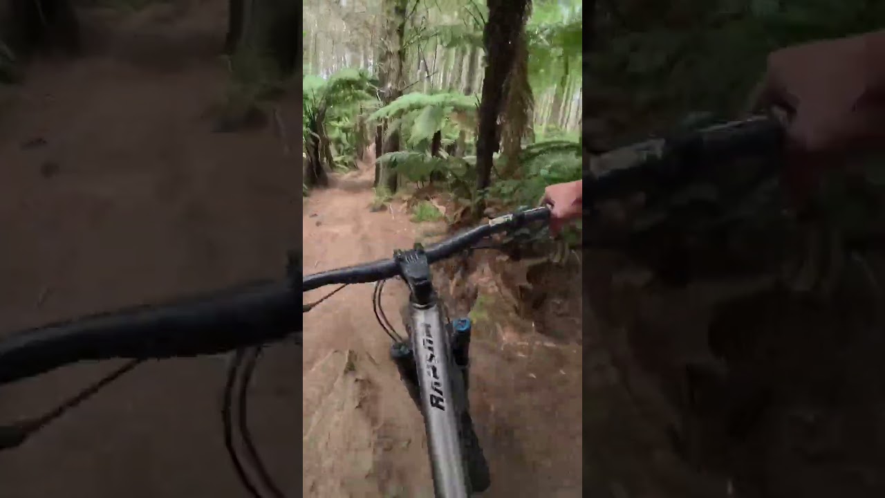 #mtb #mtbnz #nzmountainbiking #subscribe #new #fun #newzealand #mtbnz #trail #mtbtrail #mountains