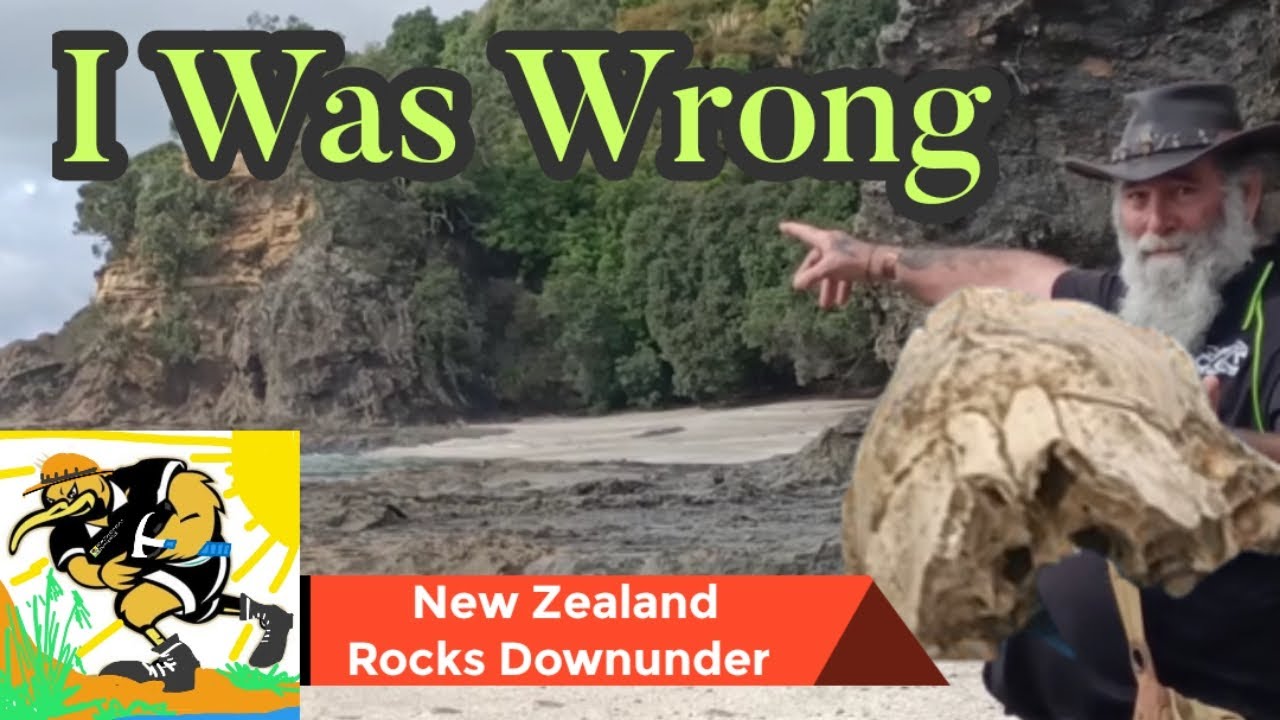 From the Depths of History: Revisiting the Remarkable Fossil Discovery at Otarawairere Ohope Beach