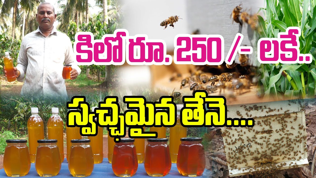 తేనె పెట్టెలతో రైతుకు ఆదాయం, యువతకు స్వయం ఉపాది,  పంటలలో నాణ్యత, దిగుబడి పెరుగుదల సాధ్యం.