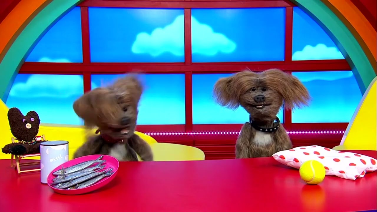 CBeebies Dodge's identical twin