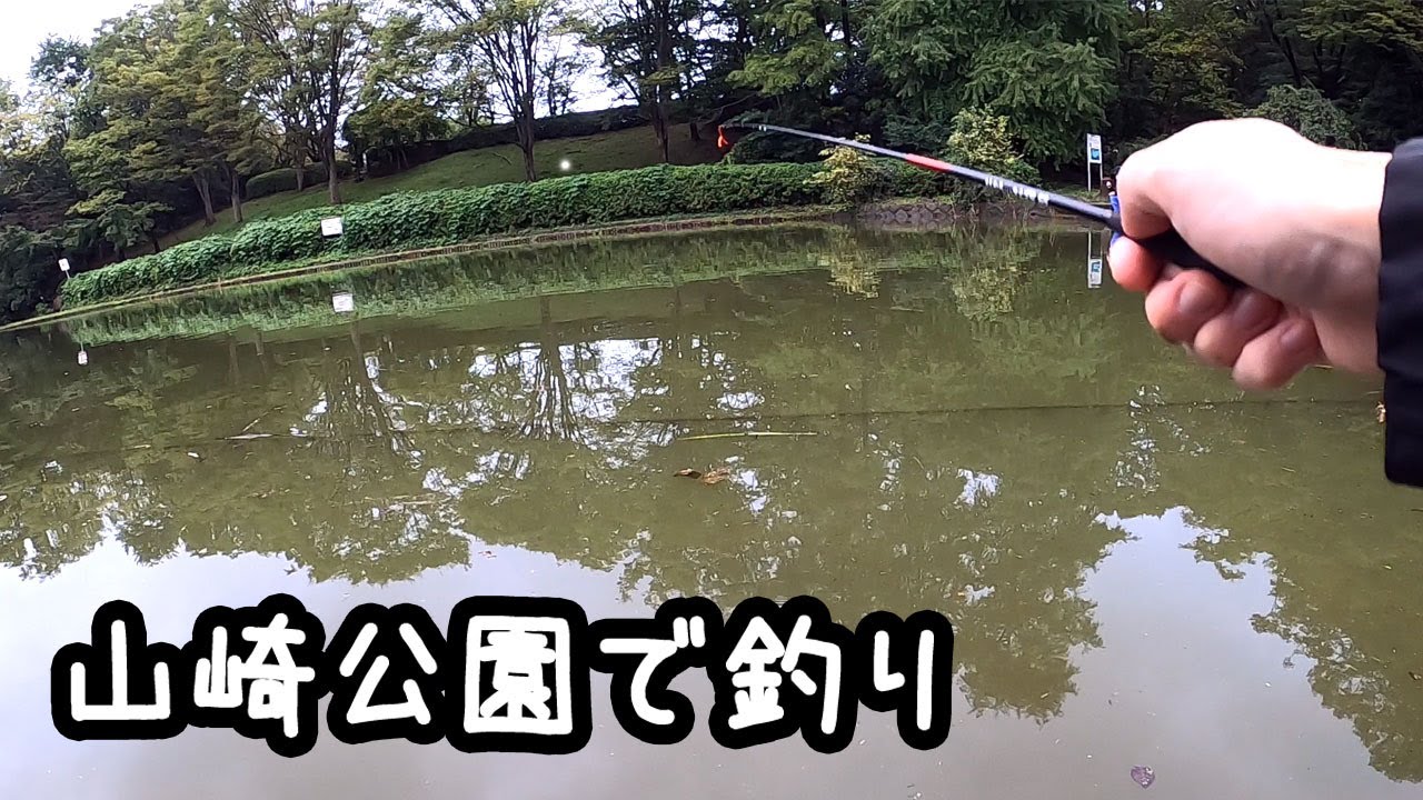 山崎公園で釣り【横浜】