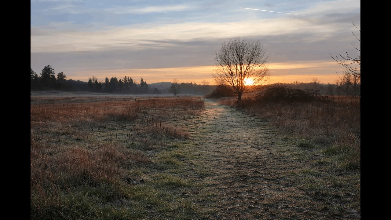 Light Fog at Sunrise | Champoeg State Park