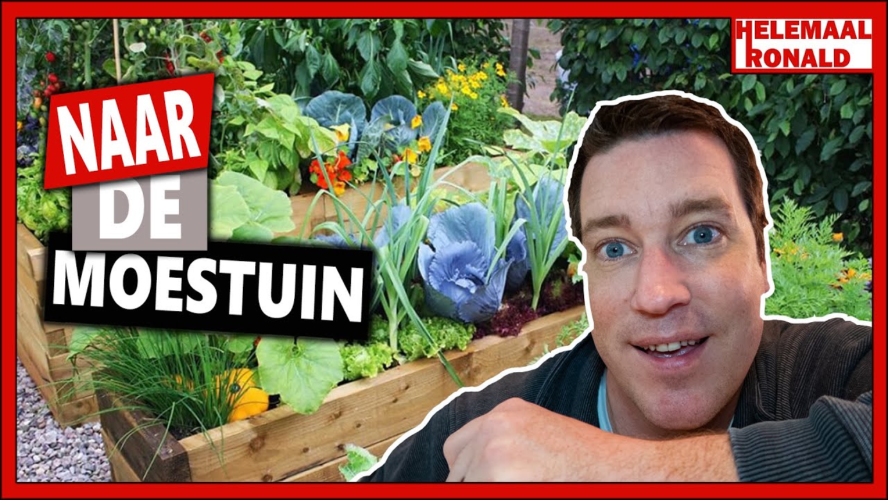 NAAR DE MOESTUIN | Week 6 | Vlog 74 | Tuinbonen poten en een tuinplan maken
