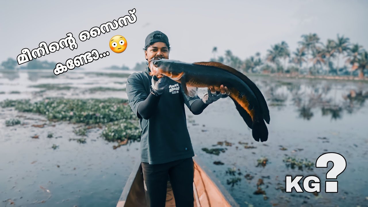 കൂട്ടുകാരന് കിട്ടിയ മീനിന്റെ size കണ്ടോ.. 😳 #kerala  #fishing #monster #bigfish
