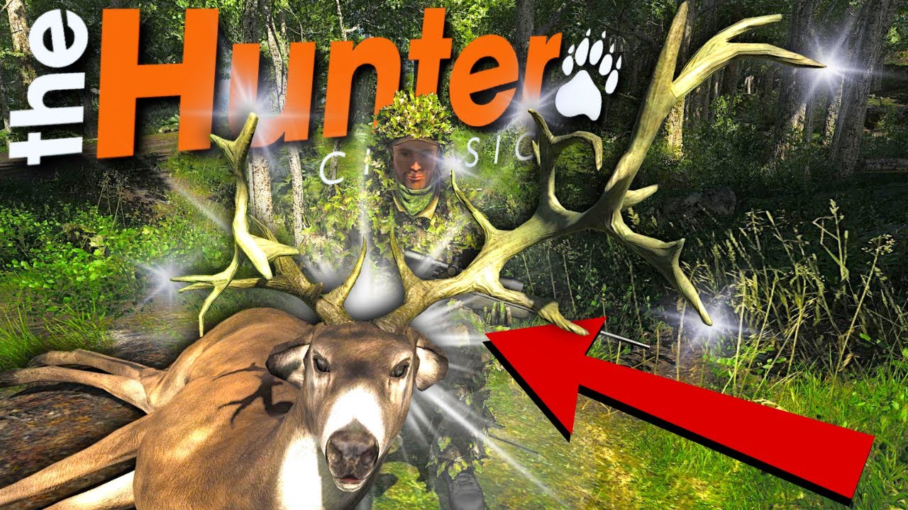 Accidentally Finding the CRAZIEST Looking Non Typical Whitetail EVER in theHunter Classic!