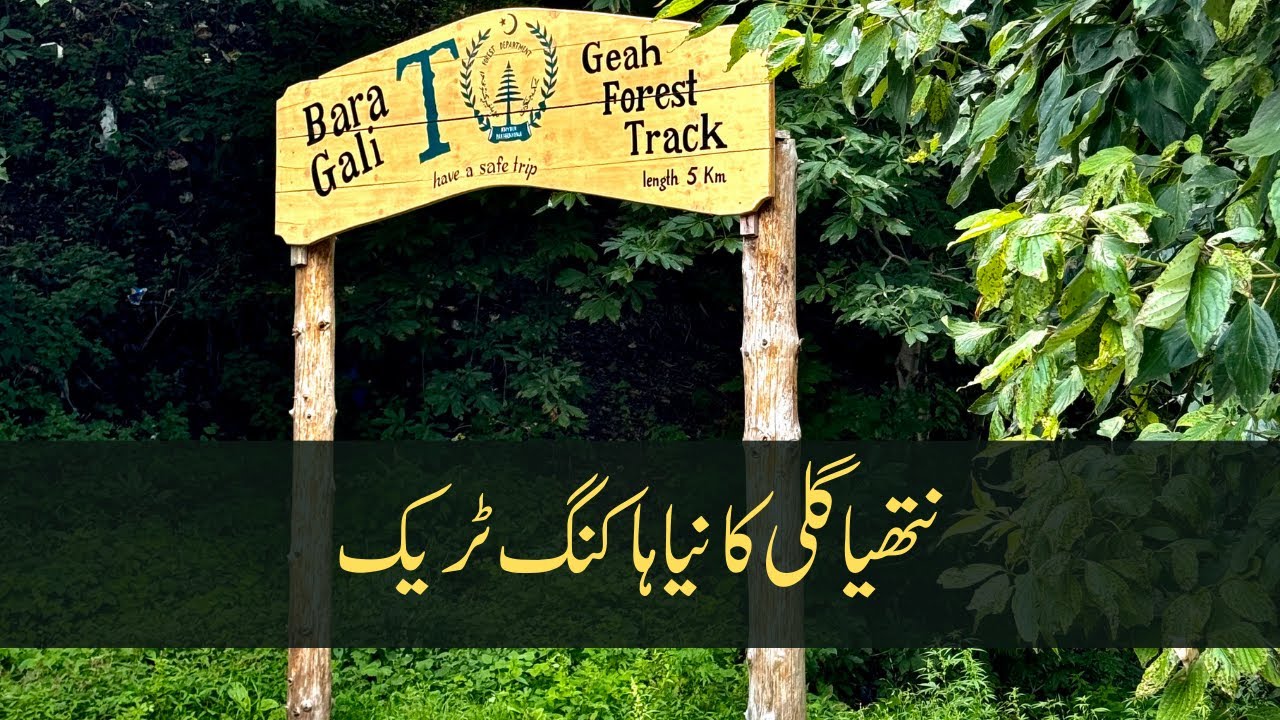 Bara Gali to Geah Forest Track | New Hiking Trail in Nathiagali