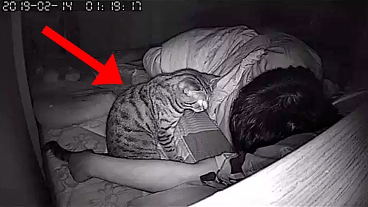 If Your Cat Does This, It&rsquo;s Protecting You from Evil Spirits!