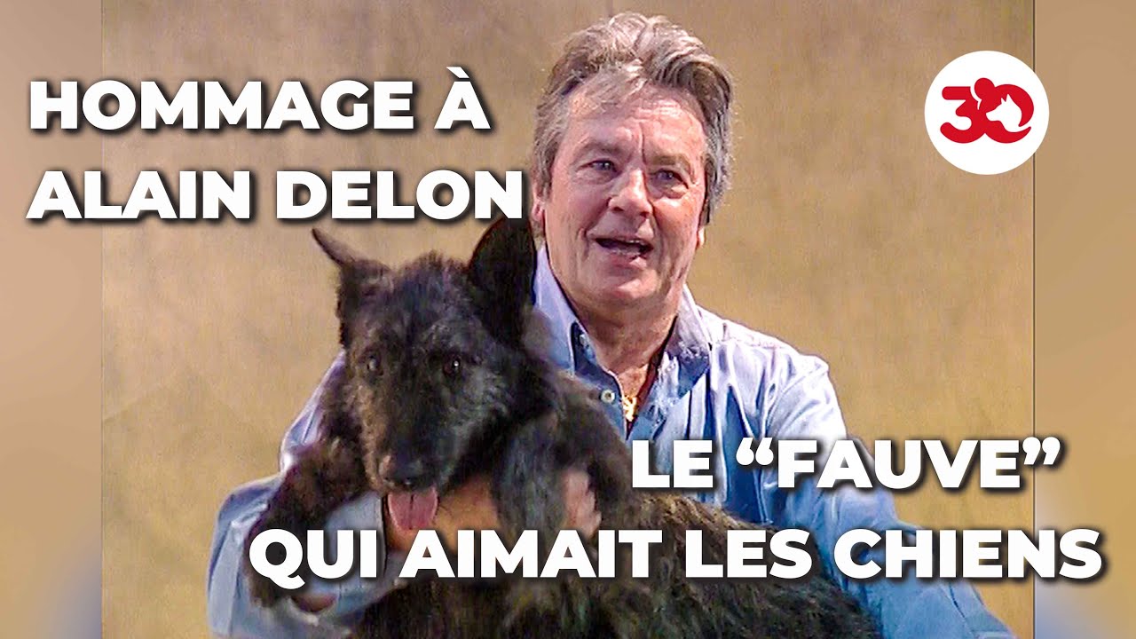Notre hommage à Alain Delon