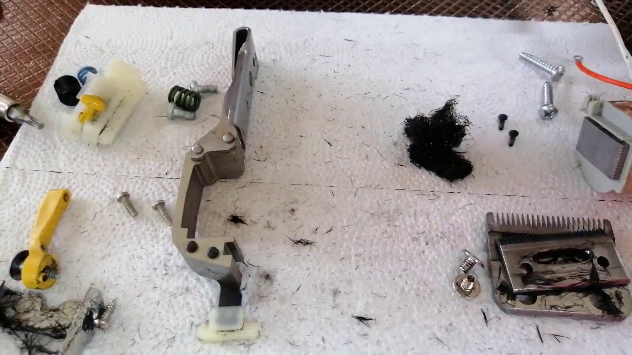¡Me han pedido mucho este Video! Paso a paso: Mantenimiento de una máquina wahl. #Barberia