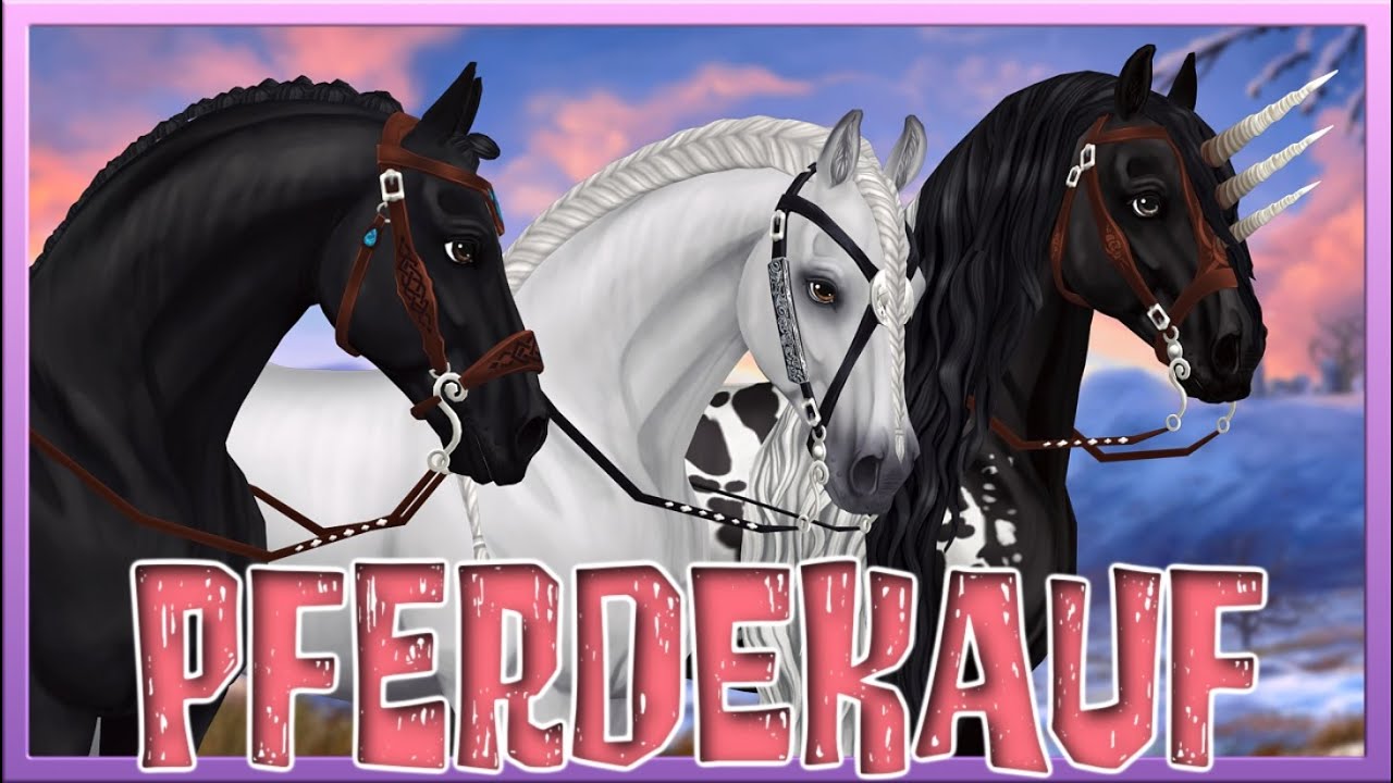 Wir KAUFEN den NEUEN FRIESEN 🖤🤍🖤 (neue Farbe) 🐴 Star Stable Pferdekauf [SSO]