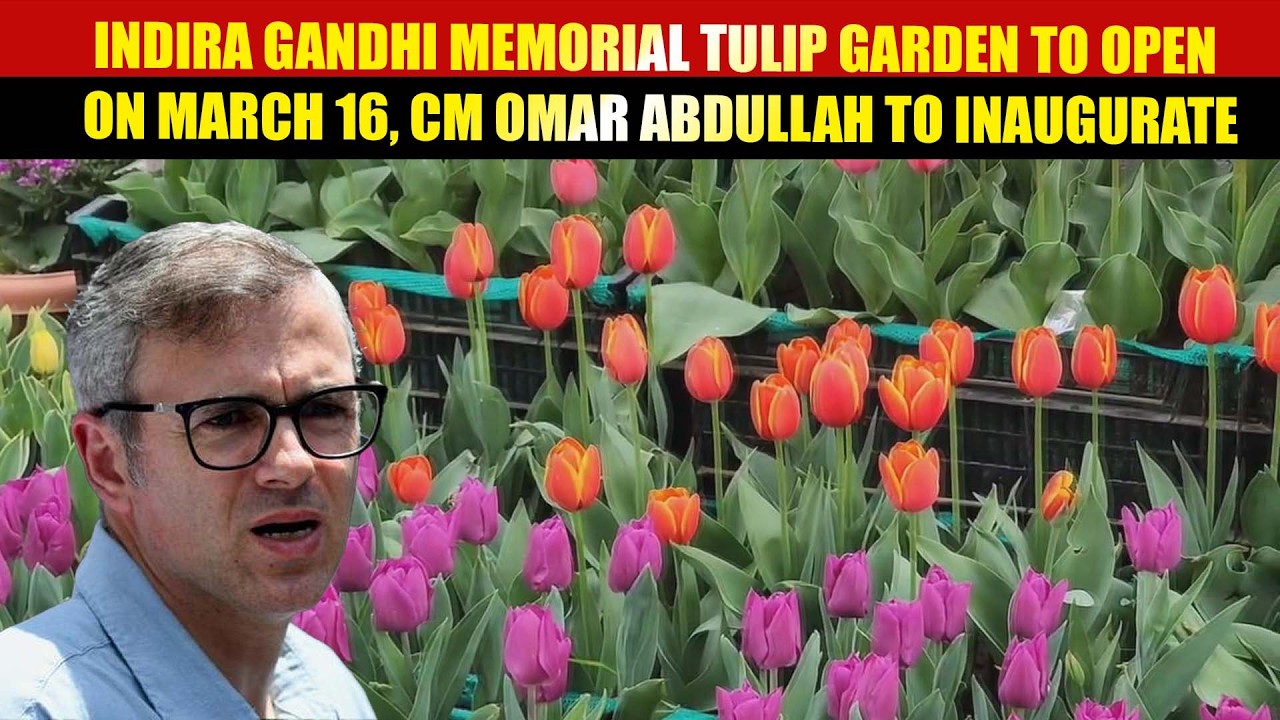 Indira Gandhi Memorial Tulip Garden to Open on March 16, CM Omar Abdullah to Inaugurate