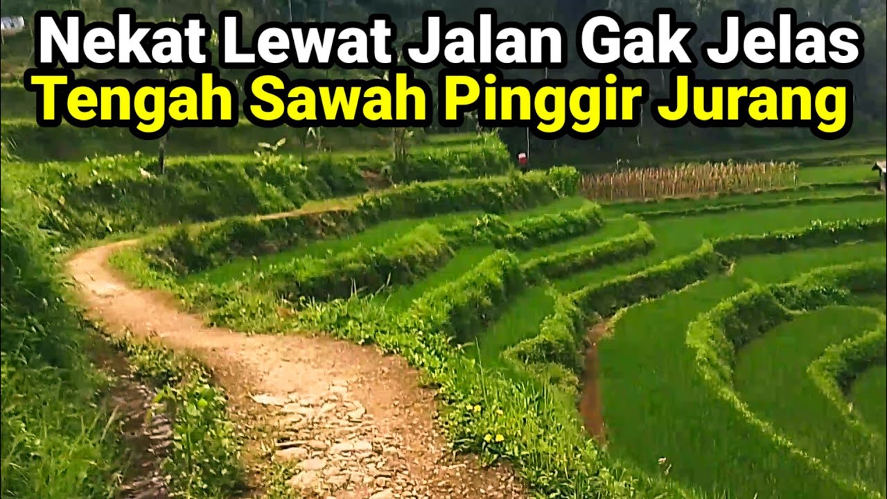 NIATNYA CARI JALAN PULANG NEKAT KETEMU JALAN GAK JELAS 