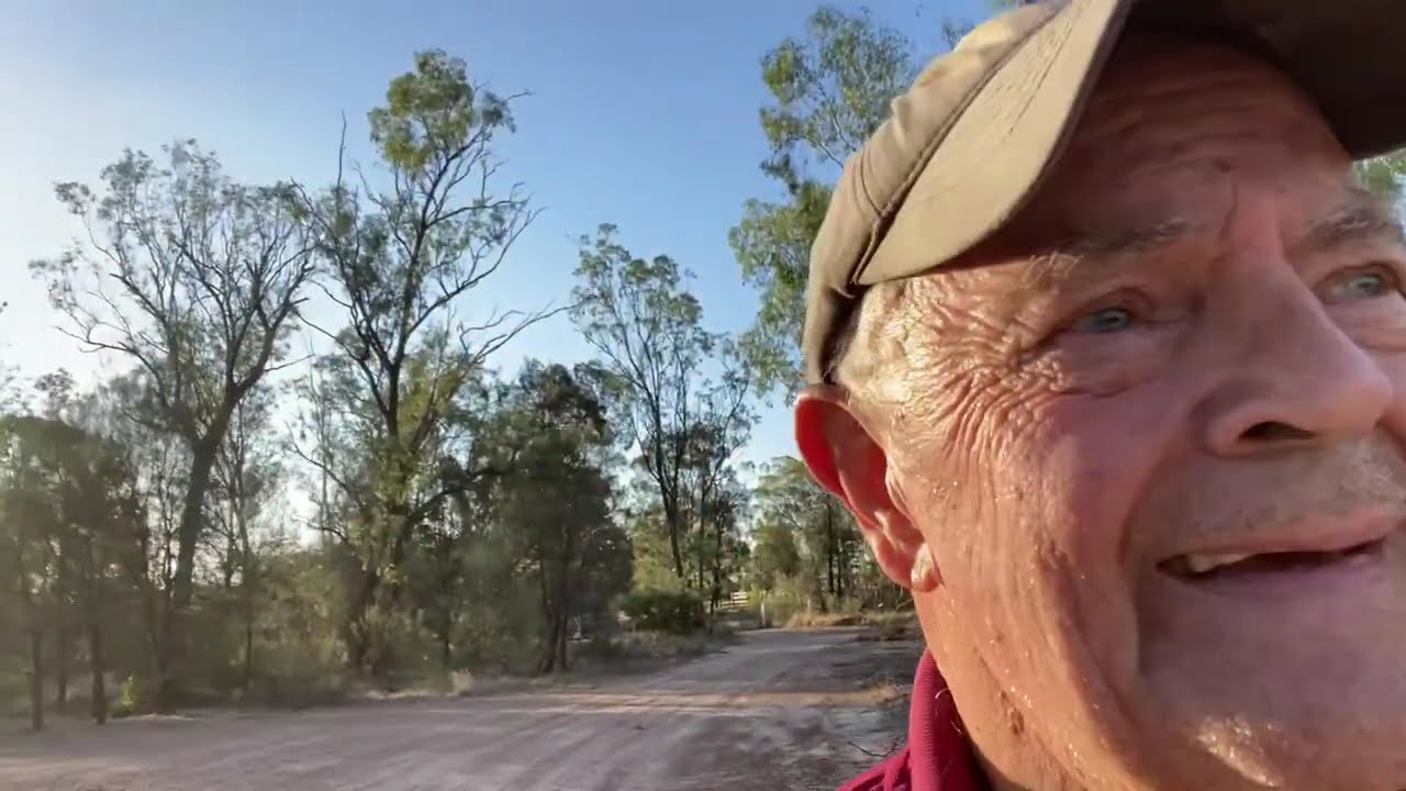 An afternoon walk in the bush 