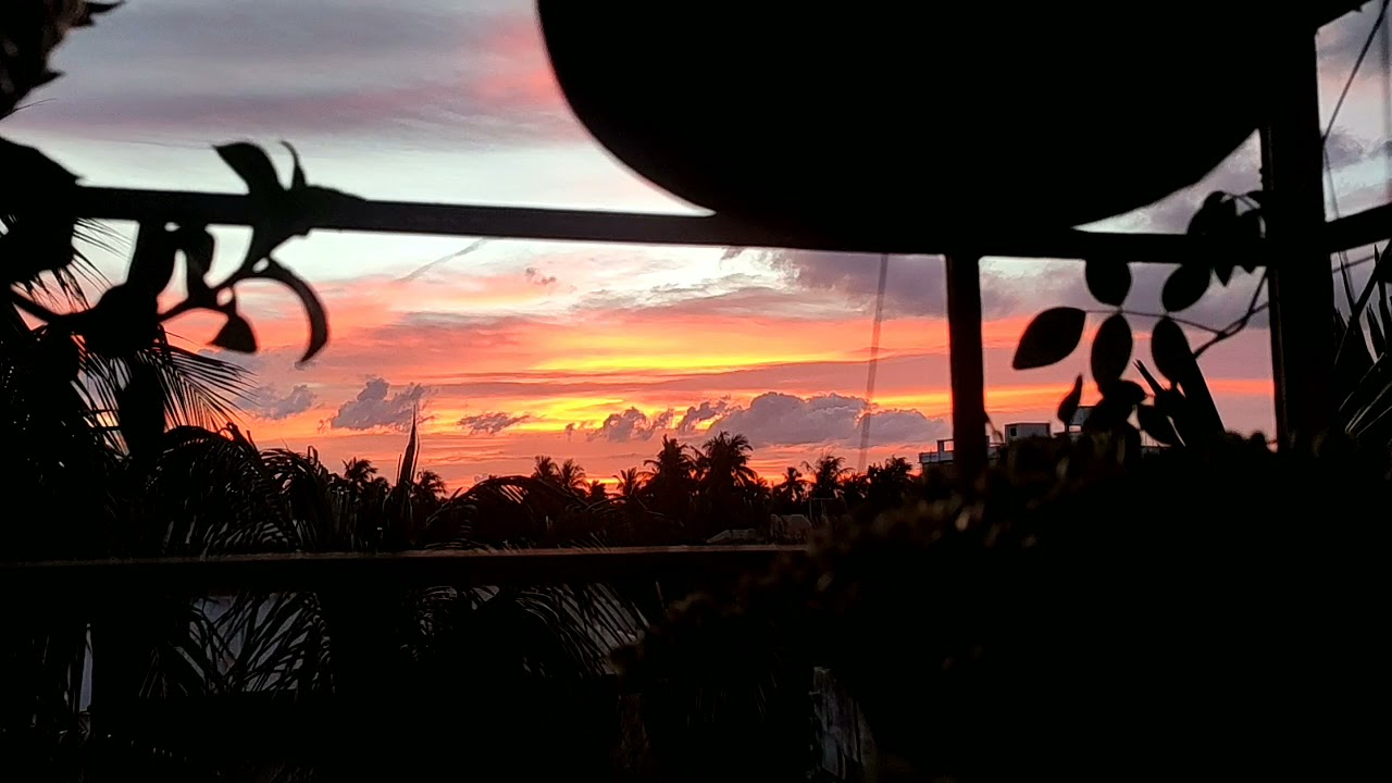 view from my balcony