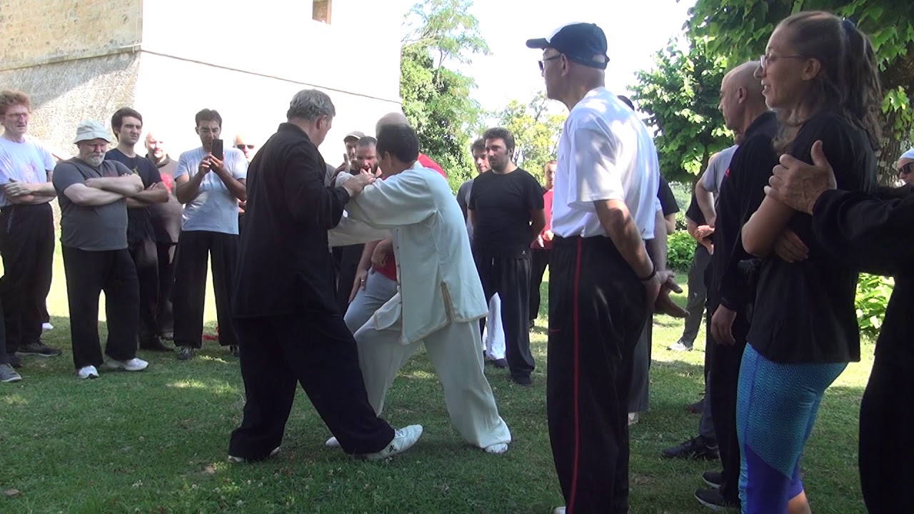 Taiji Quan al Campus Estivo Montese 2018 - Studio del Tui Shou (Lavoro in Coppia) II