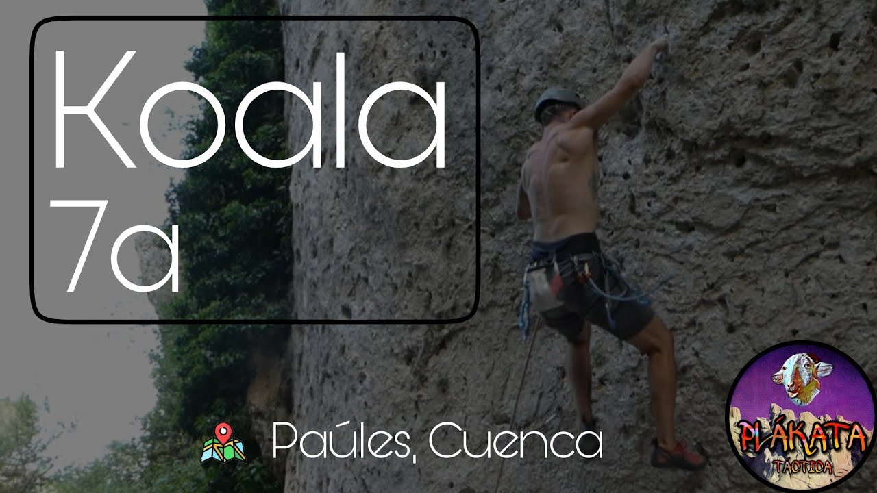 Koala | 7a | escalada Cuenca, sector Paúles